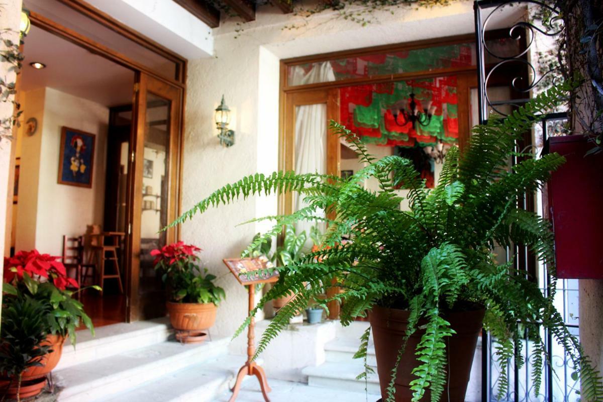 Hotel Maela Oaxaca Extérieur photo