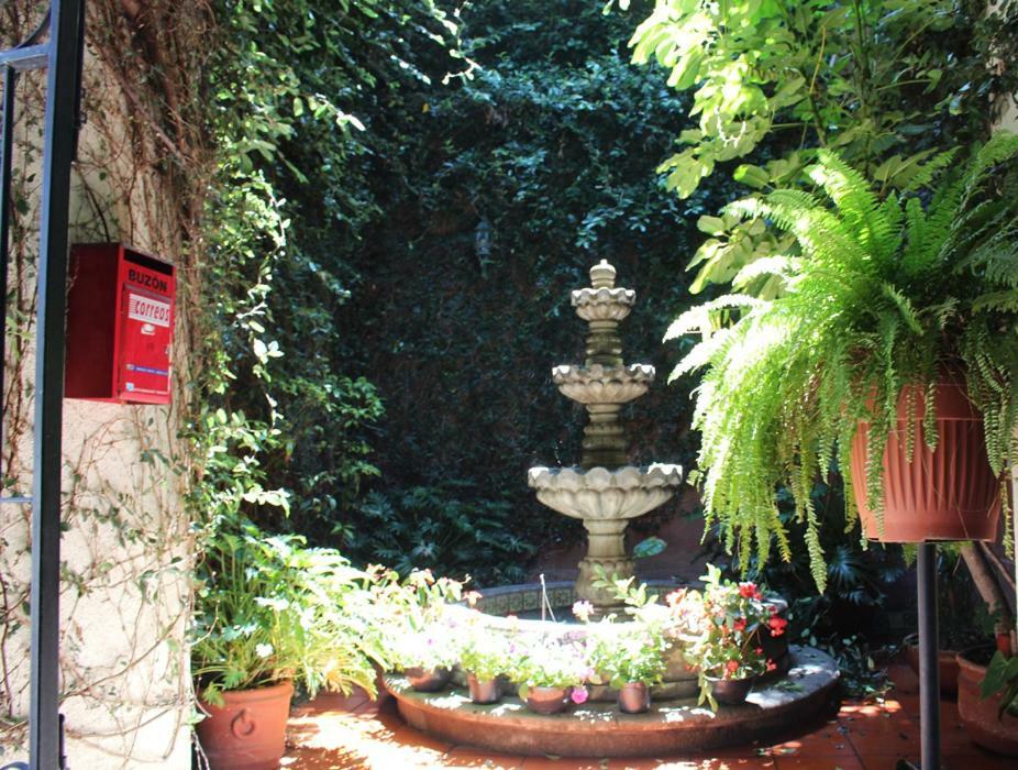 Hotel Maela Oaxaca Extérieur photo